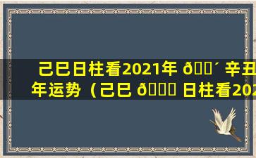 己巳日柱看2021年 🐴 辛丑年运势（己巳 🐕 日柱看2021年辛丑年运势怎么样）